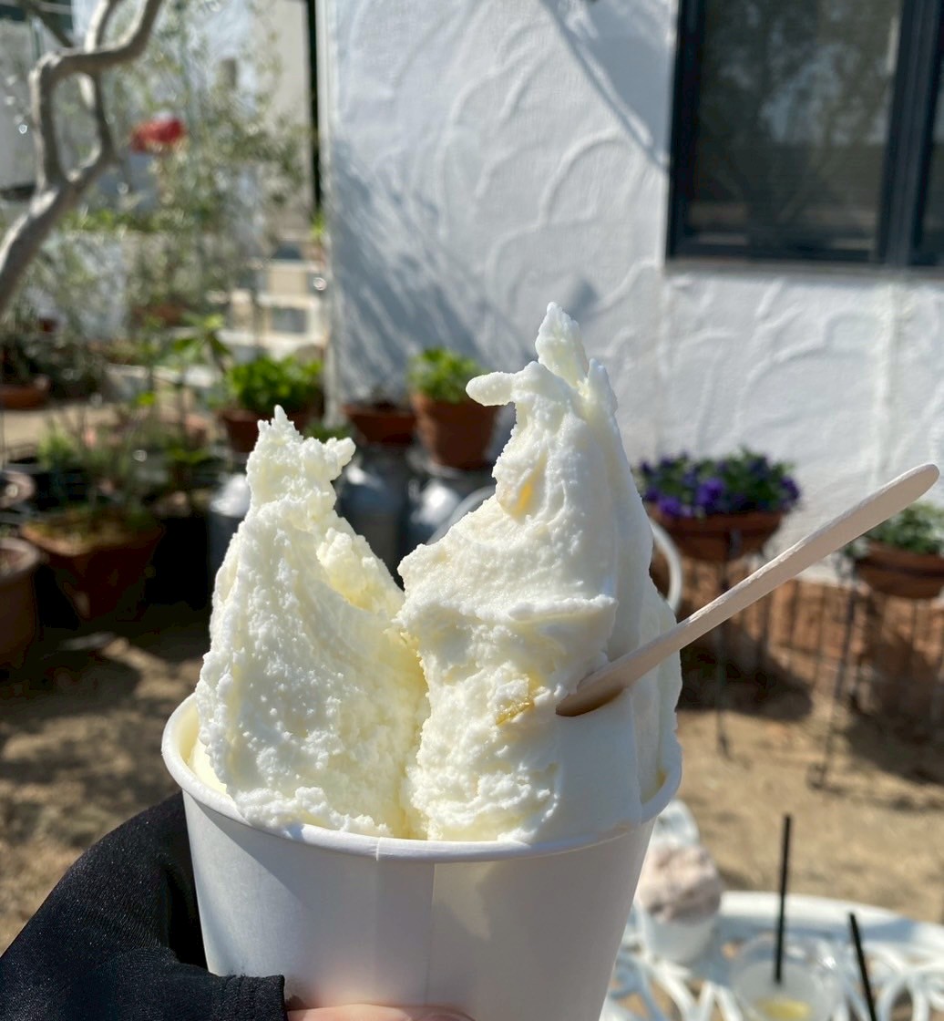 大人も子供もわくわくできるスポットへ🚗