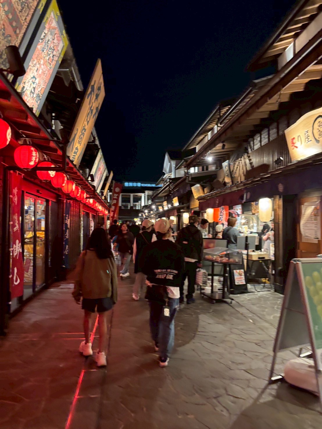 1日でたくさん観光しました！