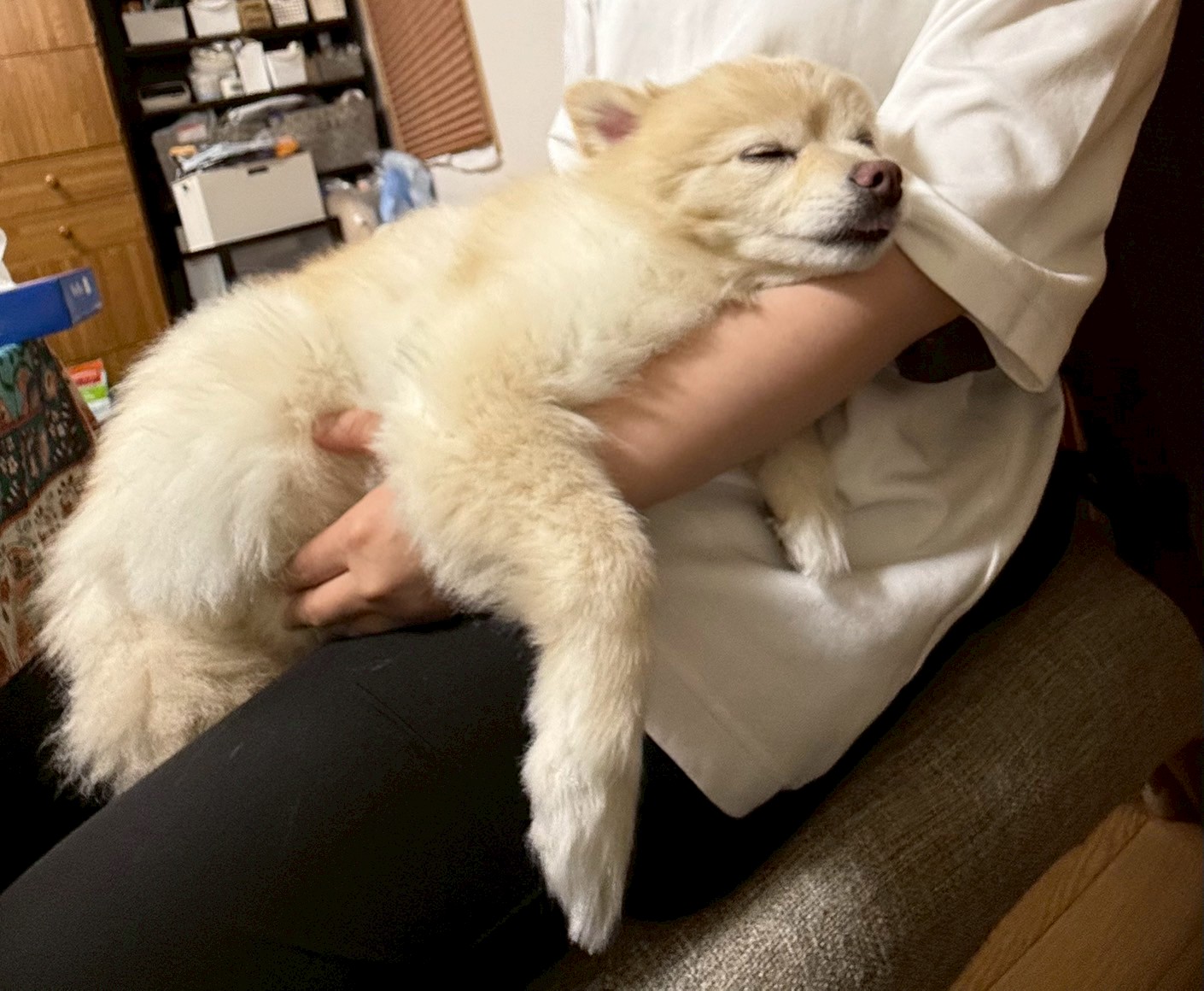 早くも避暑地へ⛰
