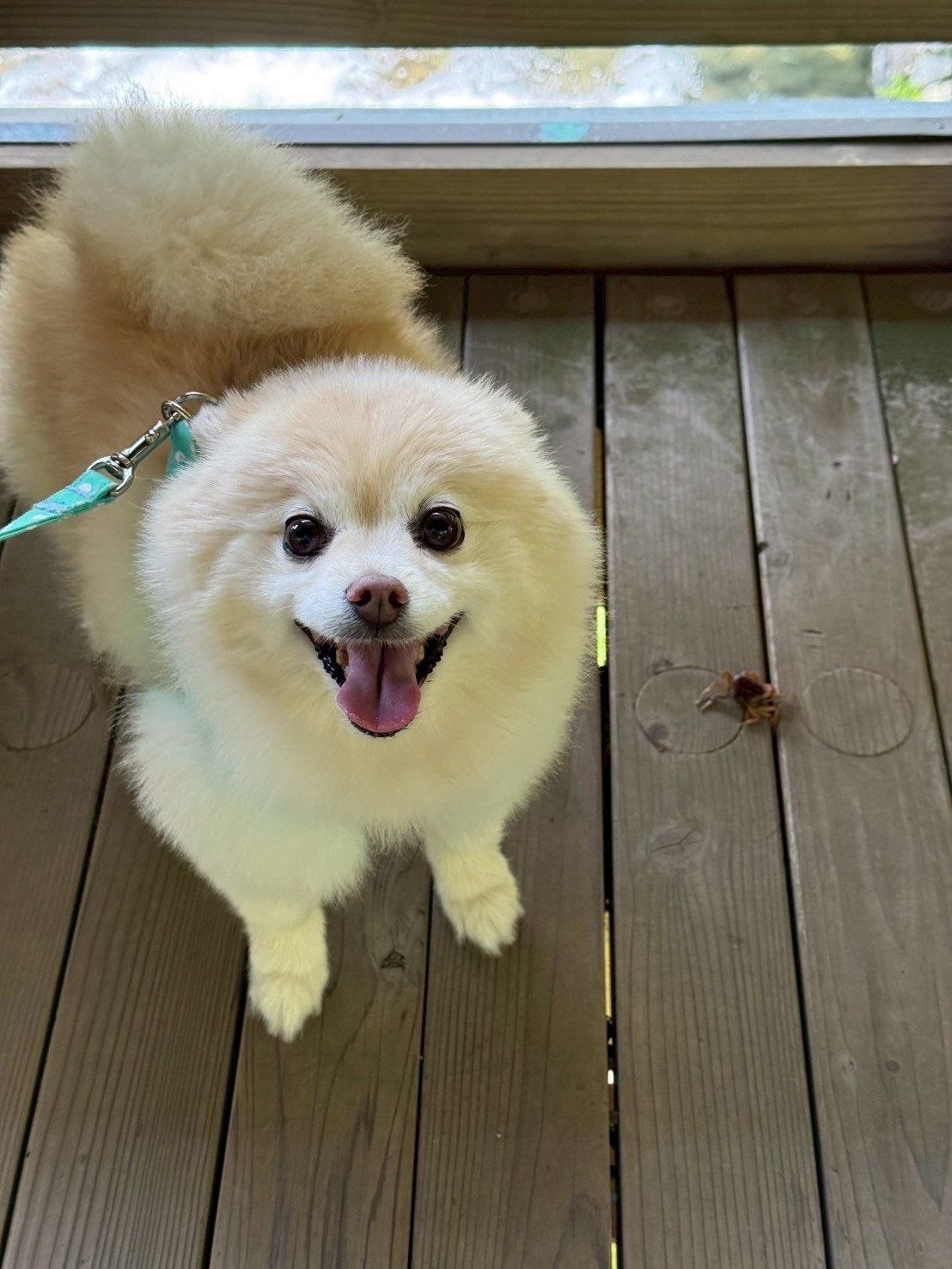 早くも避暑地へ⛰