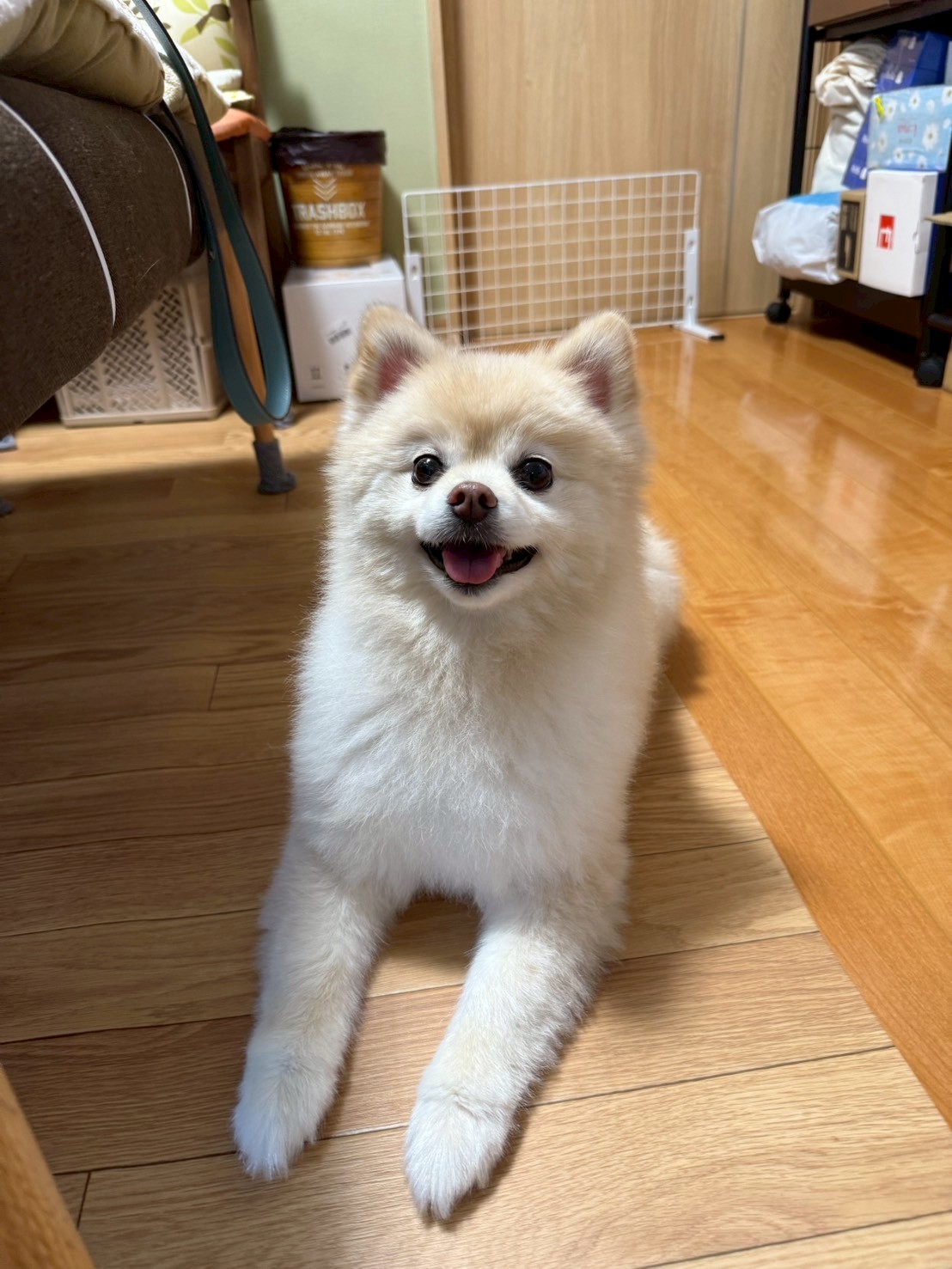 早くも避暑地へ⛰