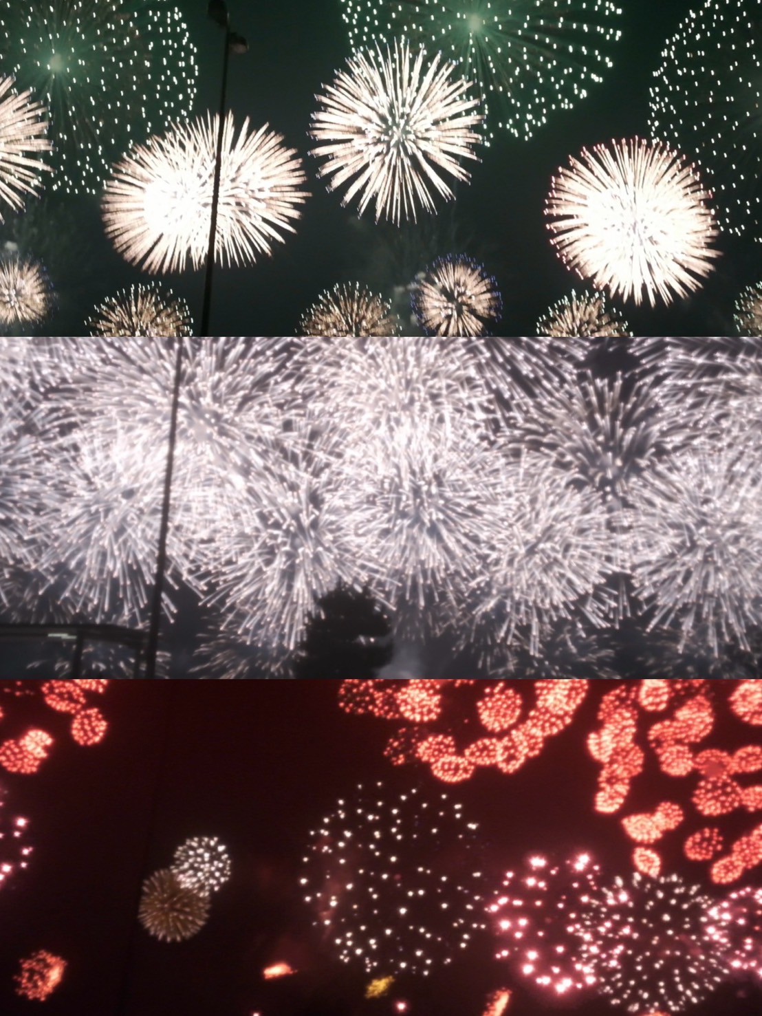 私の夏がやって来ました🎐🩵