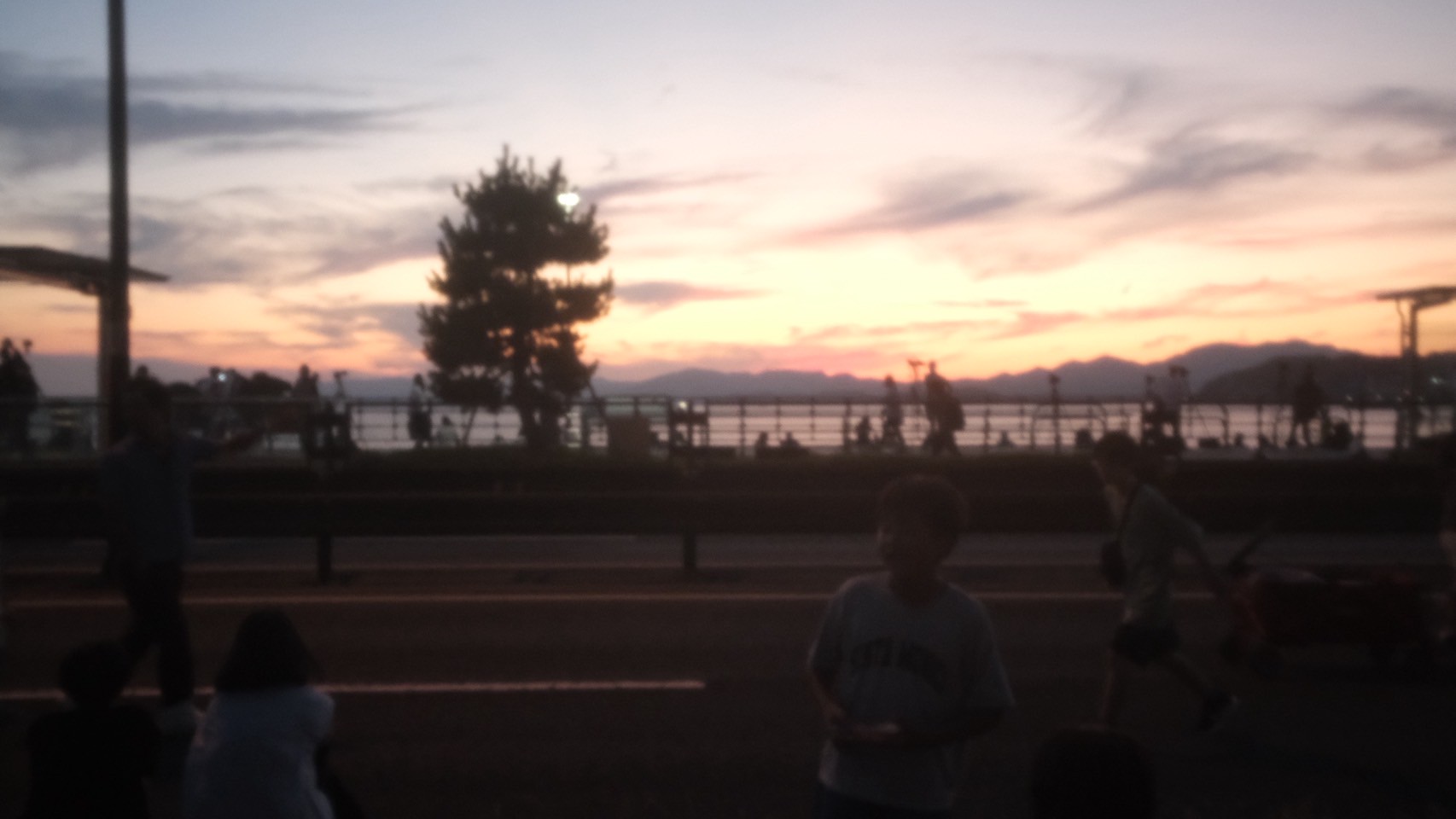 私の夏がやって来ました🎐🩵