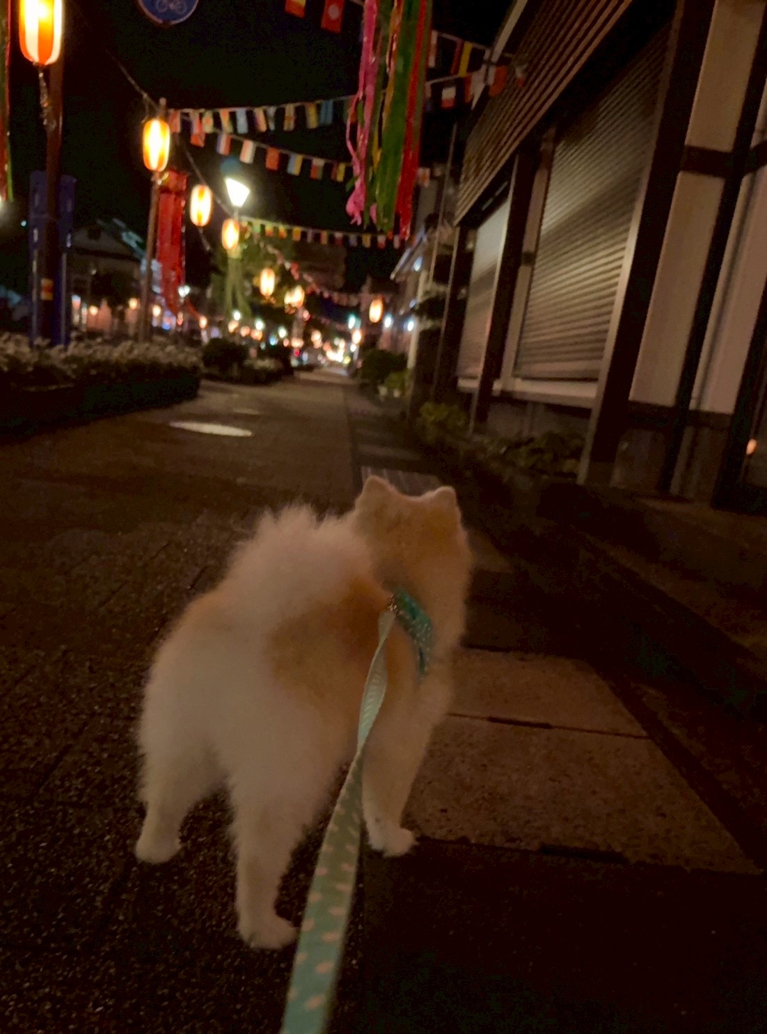 帰省しました🍉