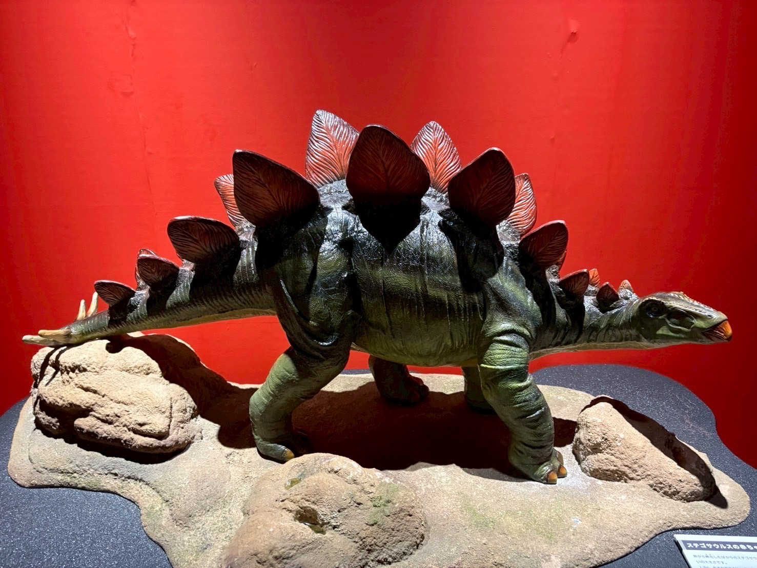 恐竜と触れ合ってきました🦖