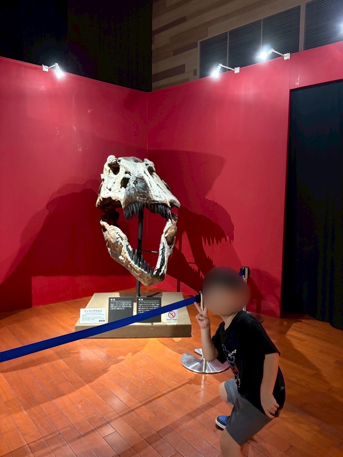 恐竜と触れ合ってきました🦖