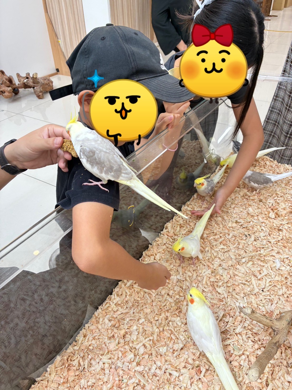 動物たちに癒されました🐤🐰🐸