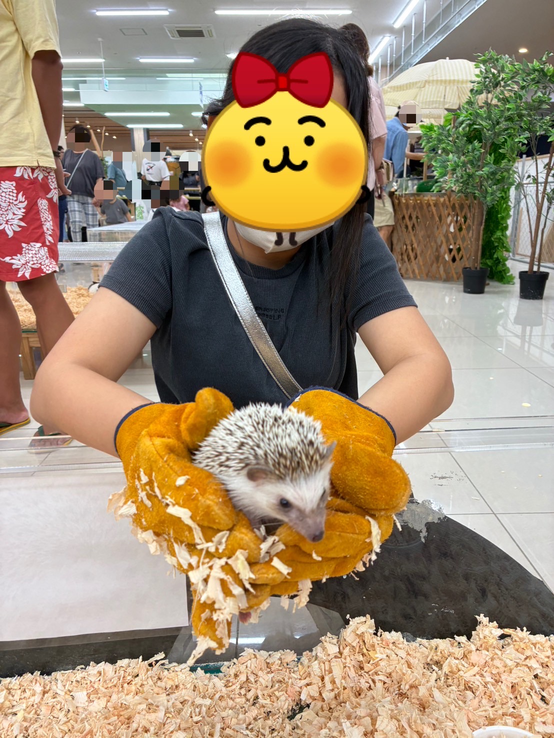 動物たちに癒されました🐤🐰🐸