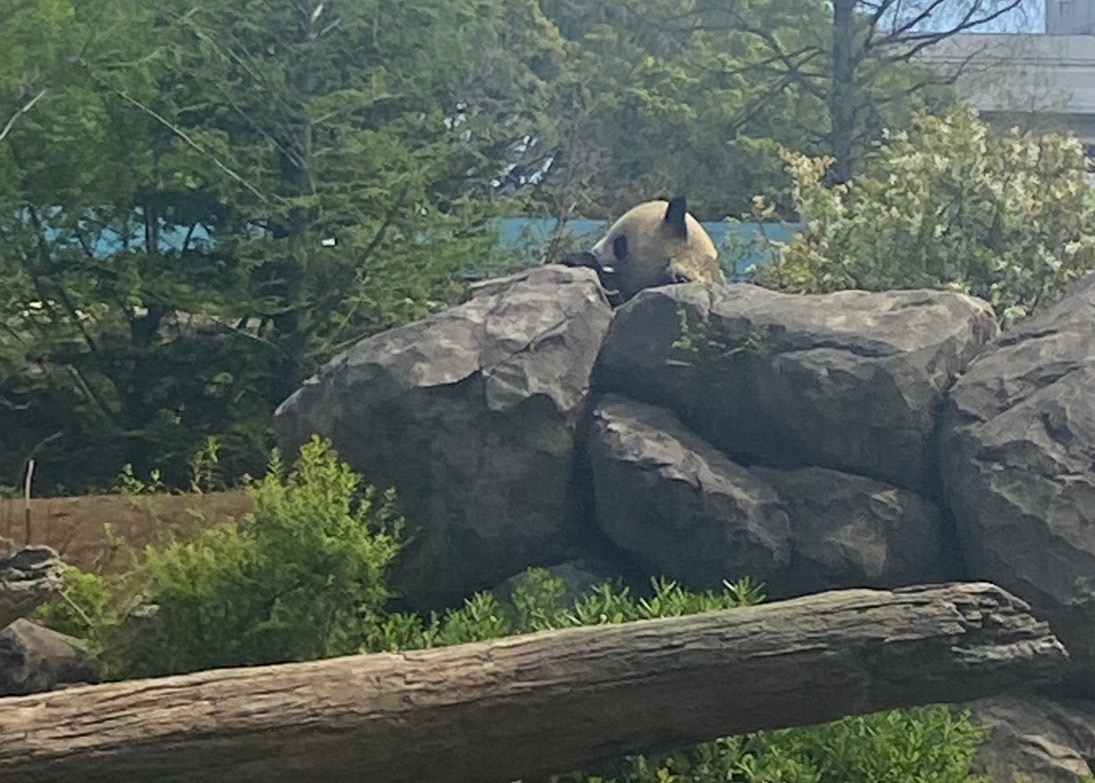 新しい生活が始まりました！