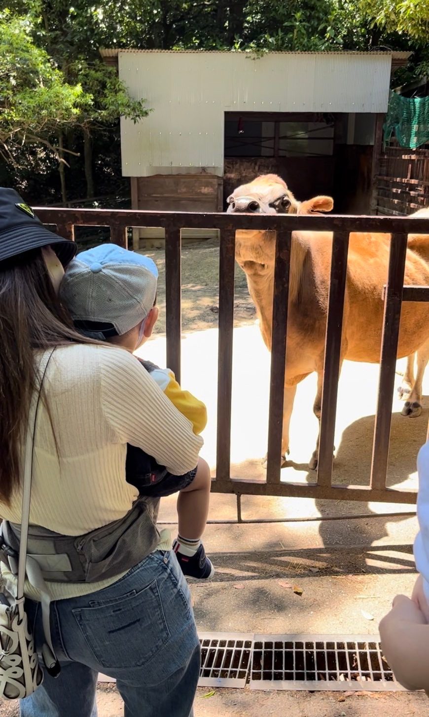 たくさんの動物に癒されてきました🦒
