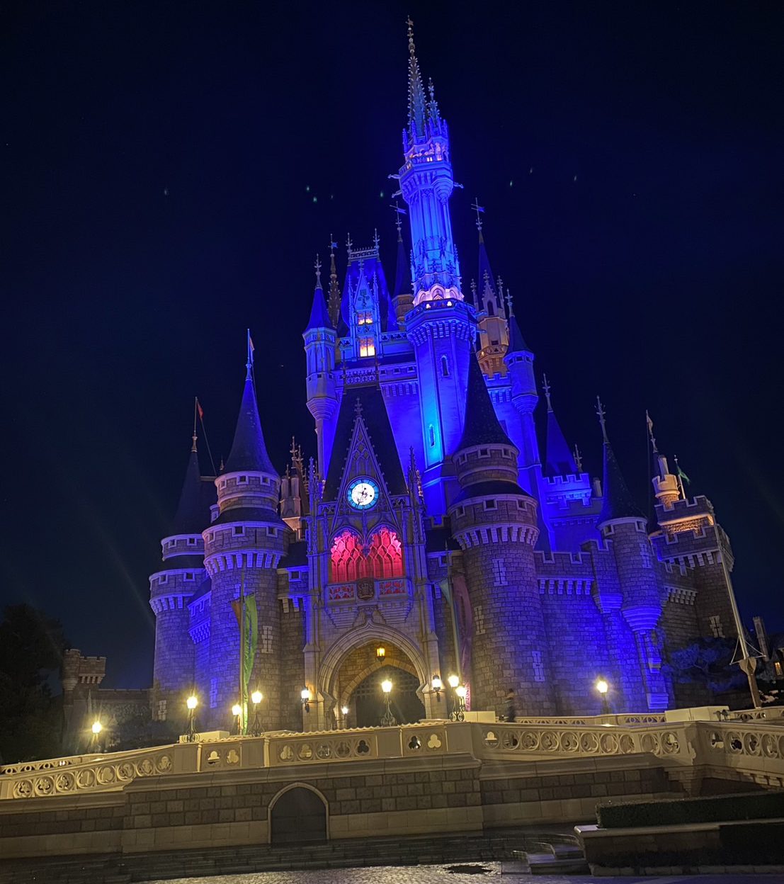 夢の国へ行ってきました🐭🎀