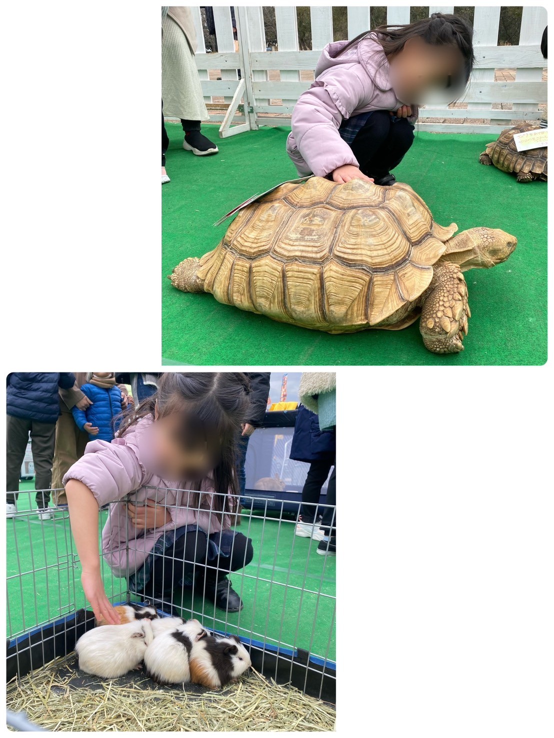 気ままな休日👧