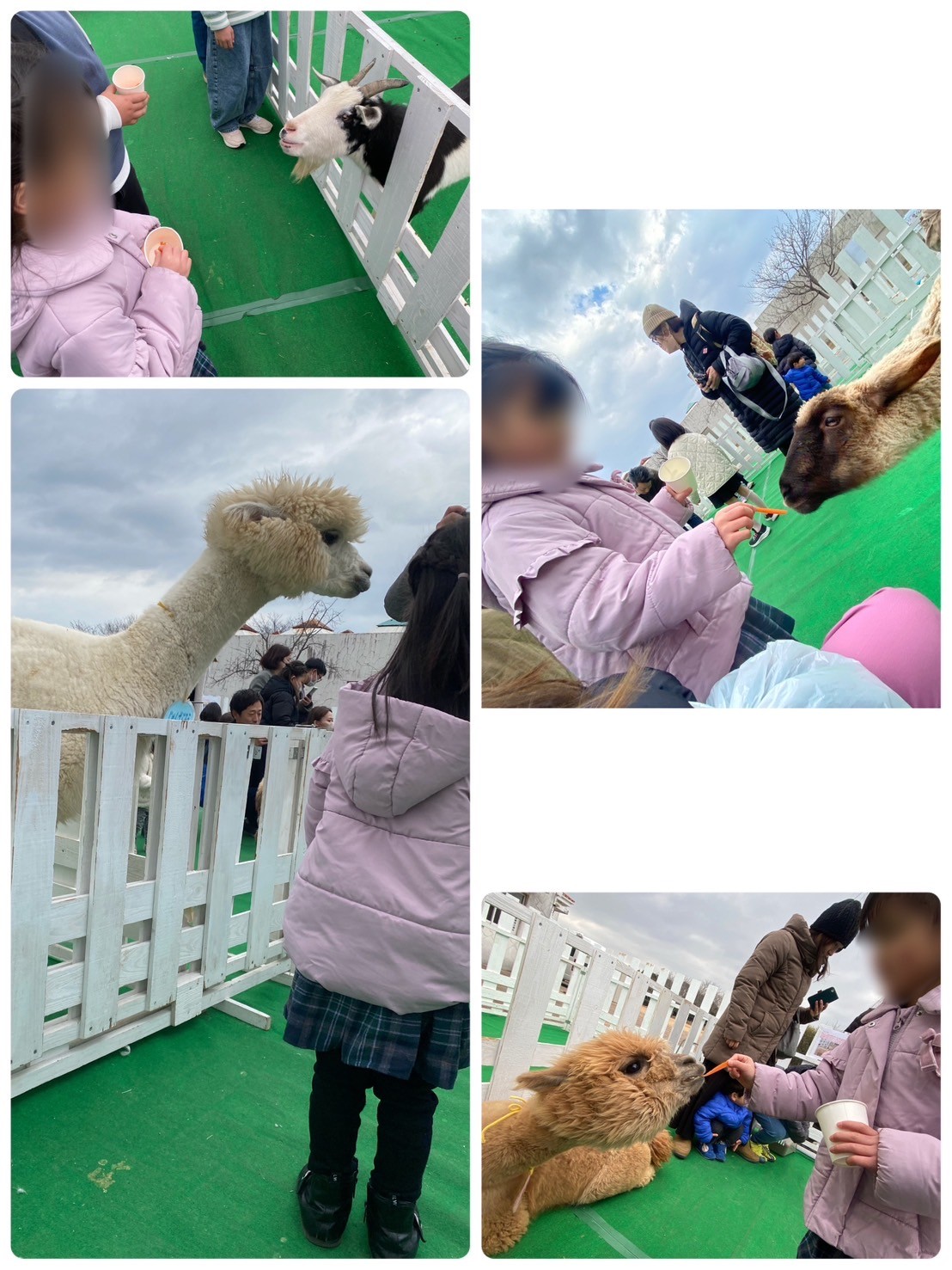 気ままな休日👧