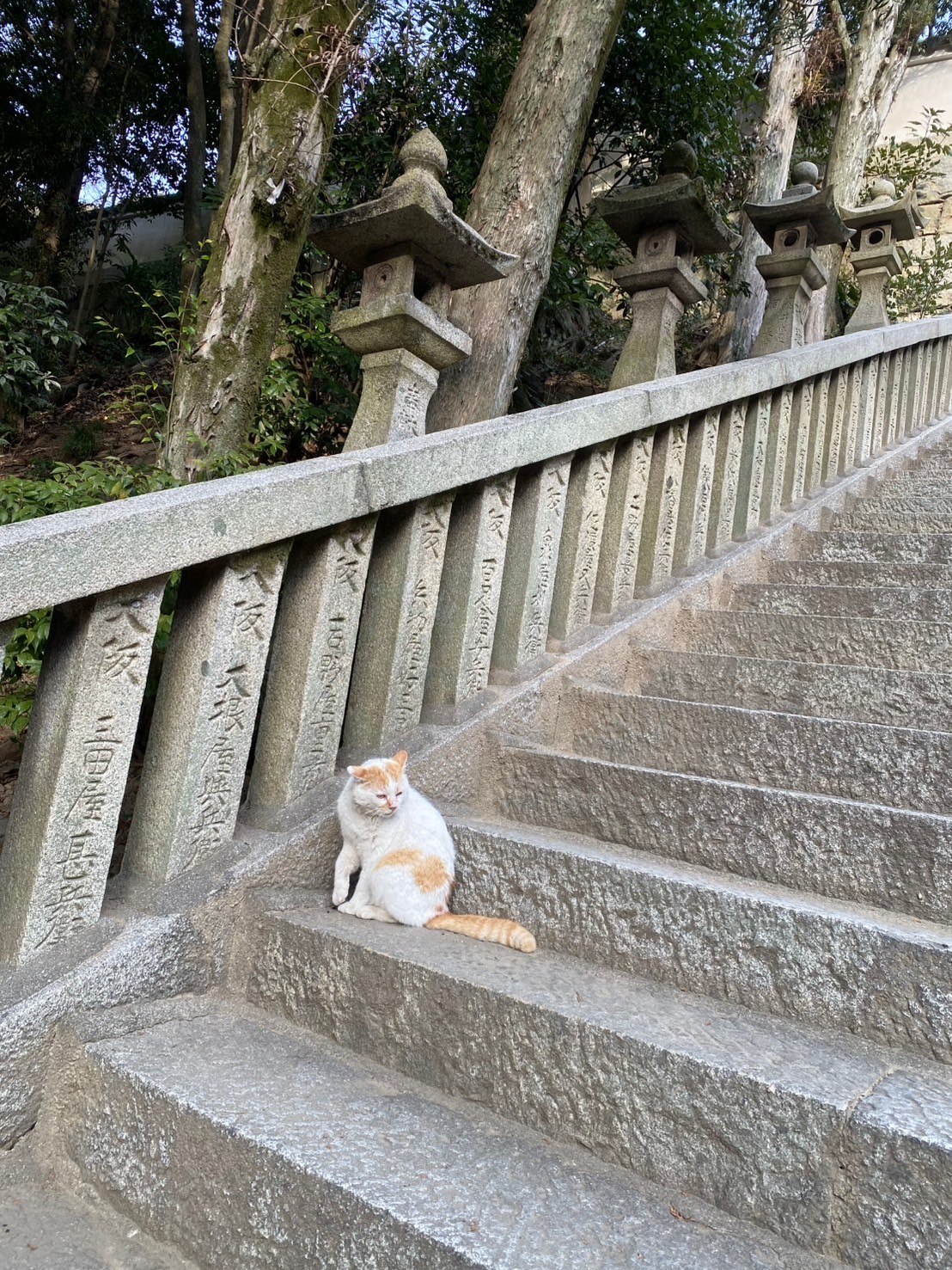 心身共に清らかに✨