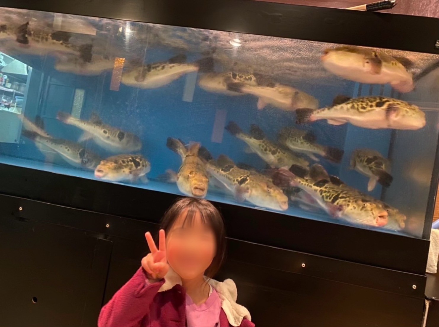 冬の味覚を堪能しました🐡🦪