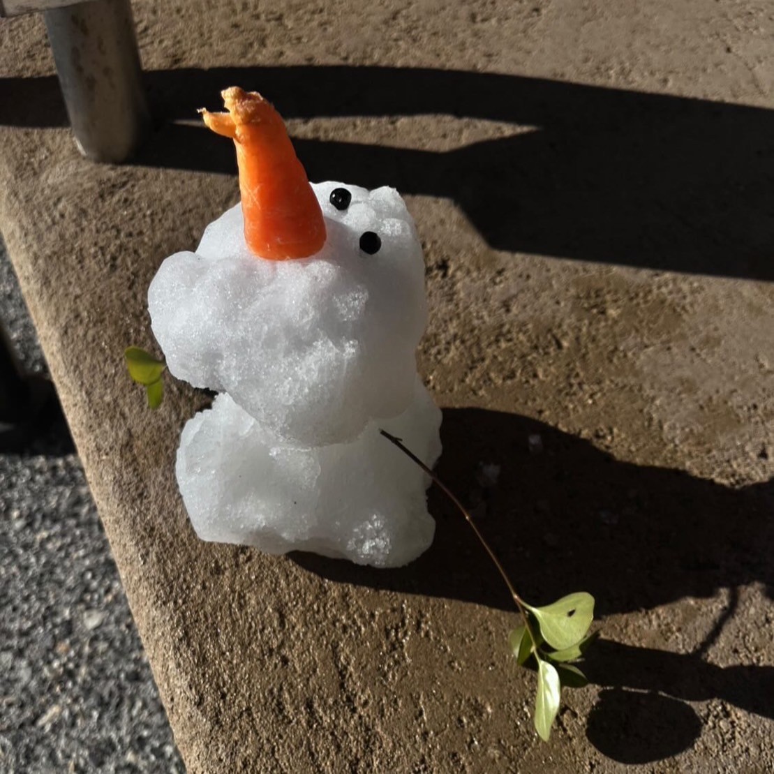 雪を求めて…⛄❄