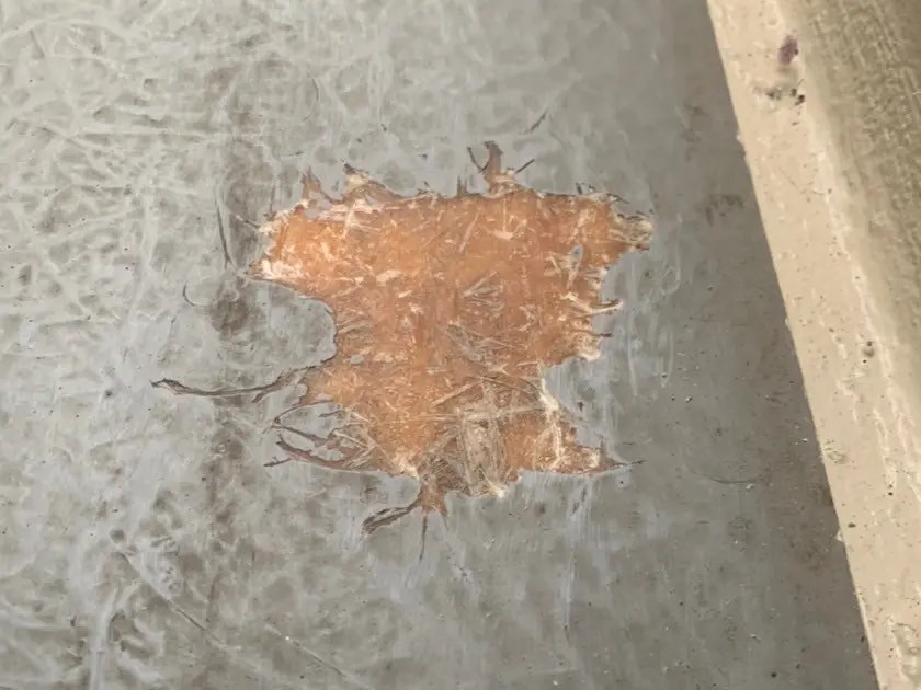 ベランダの防水性について