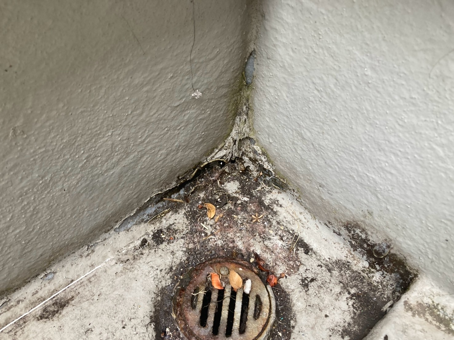 ベランダの防水性について