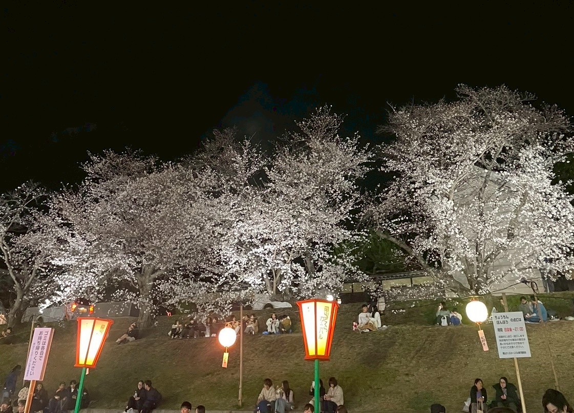 春を満喫🌸