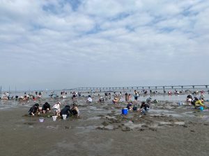 潮干狩りへ🏖