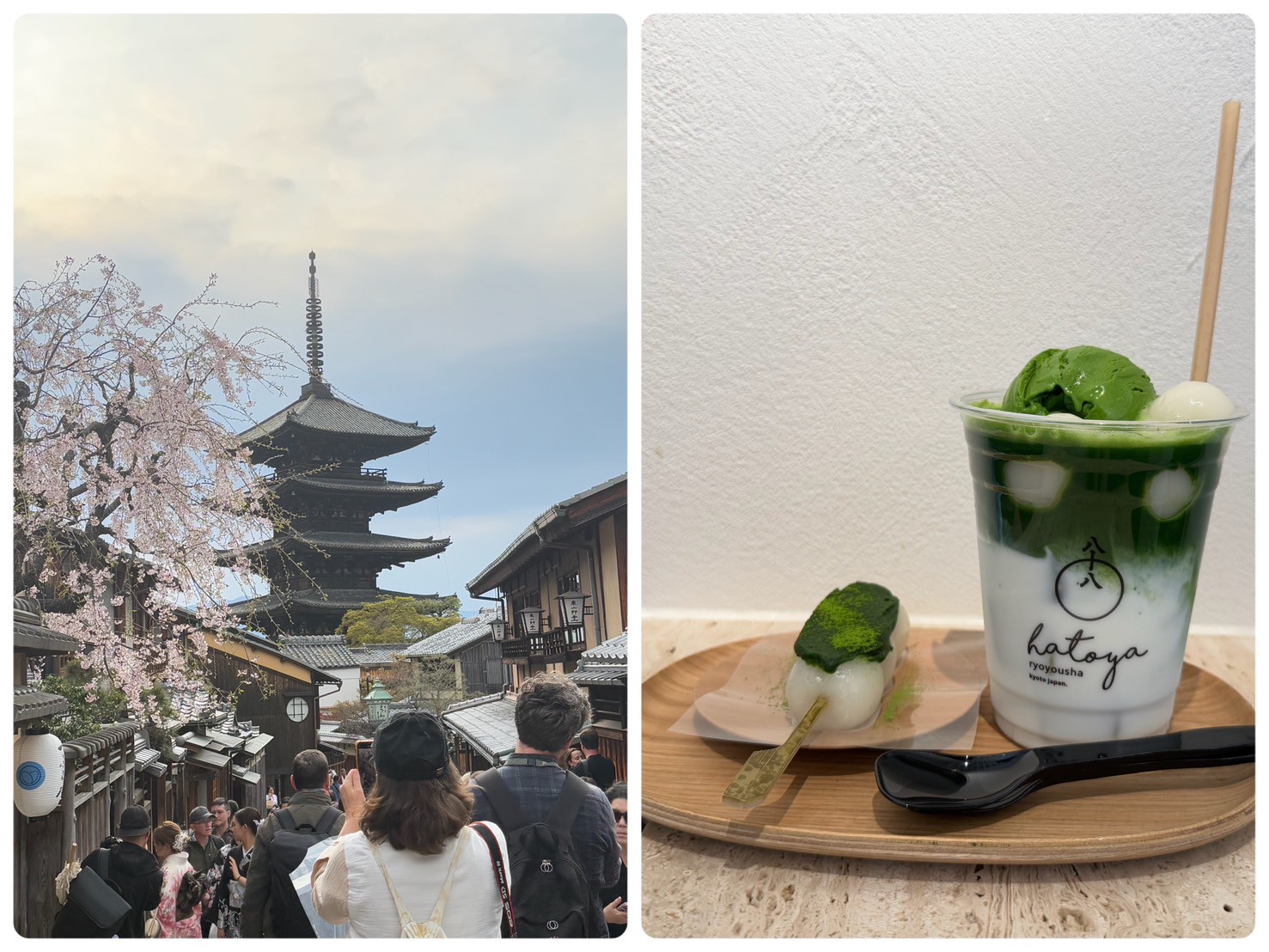 お花見備忘録🌸